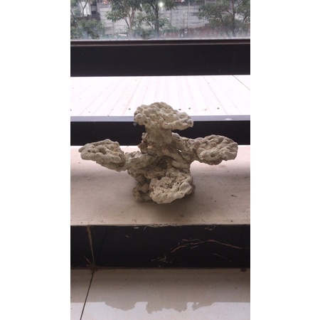 scaping deadrock, dead rock untuk nano reeftank air laut