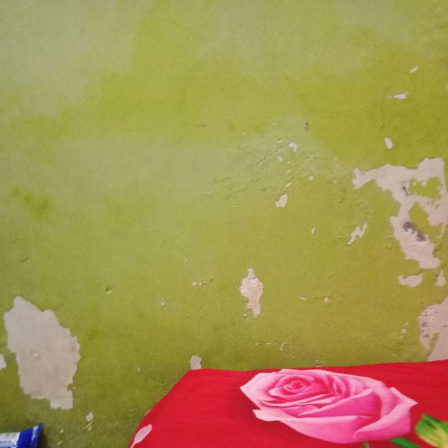 Hem Pendek Danar Hadi