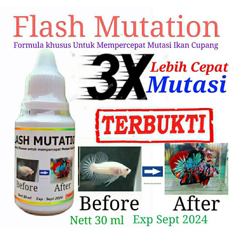 Paket isi Demi Pelet Spirulina, Flash Mutation, Ketapang Olahan