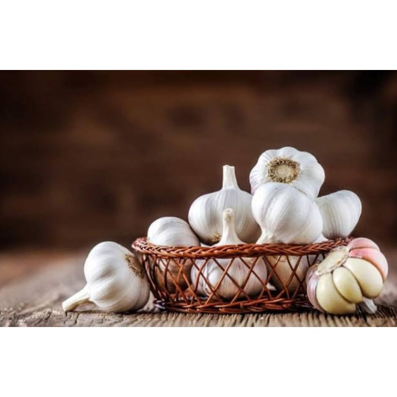 

bawang putih jumbo 250 gram