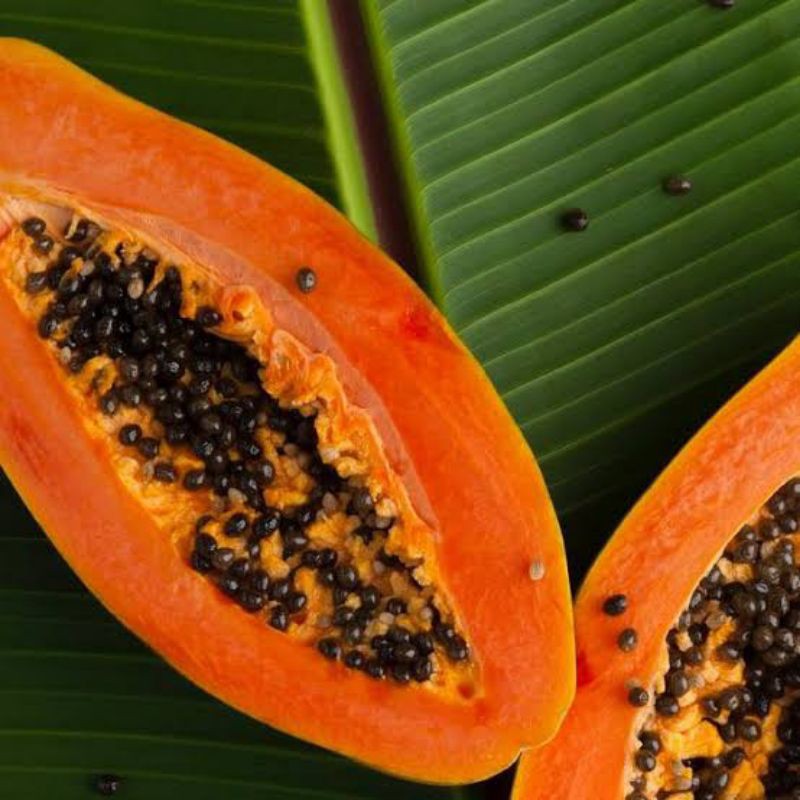 

pepaya risau