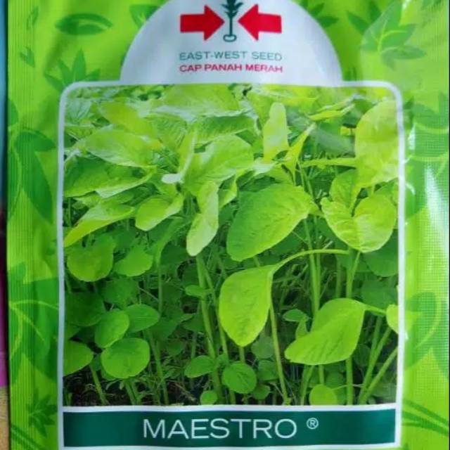 BIBIT BAYAM HIJAU CABUT CAP PANAH MERAH