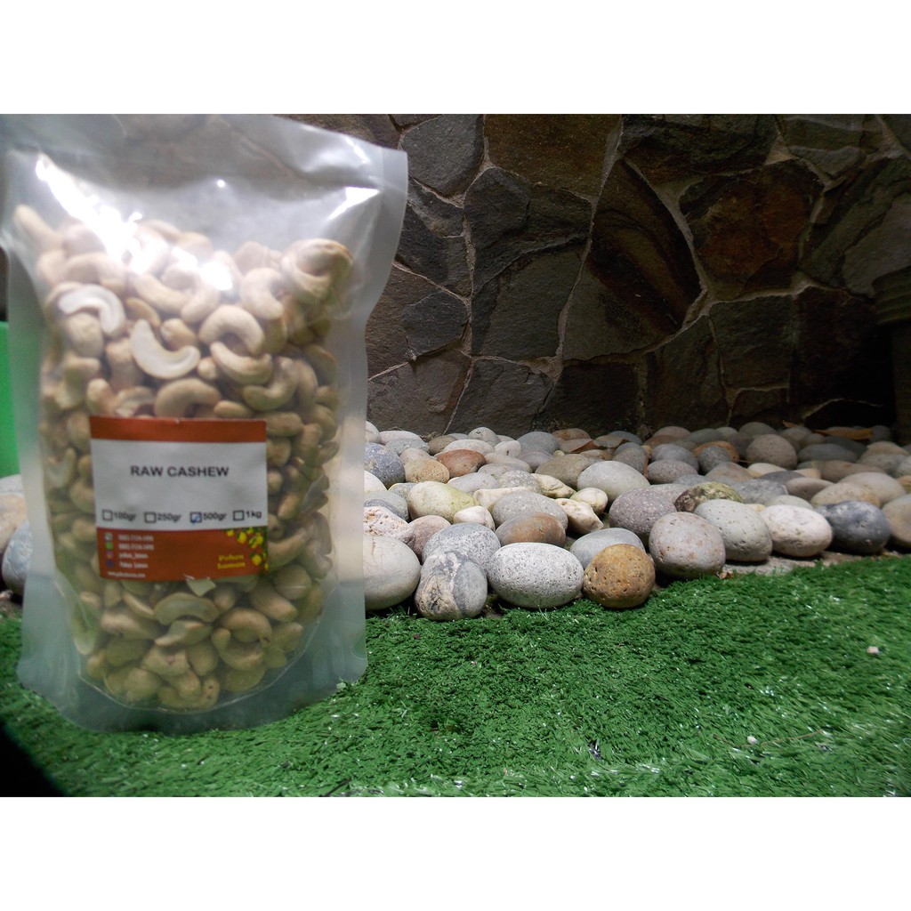 

Raw Cashew / Mede Mentah 500 gr *Pekanbaru*