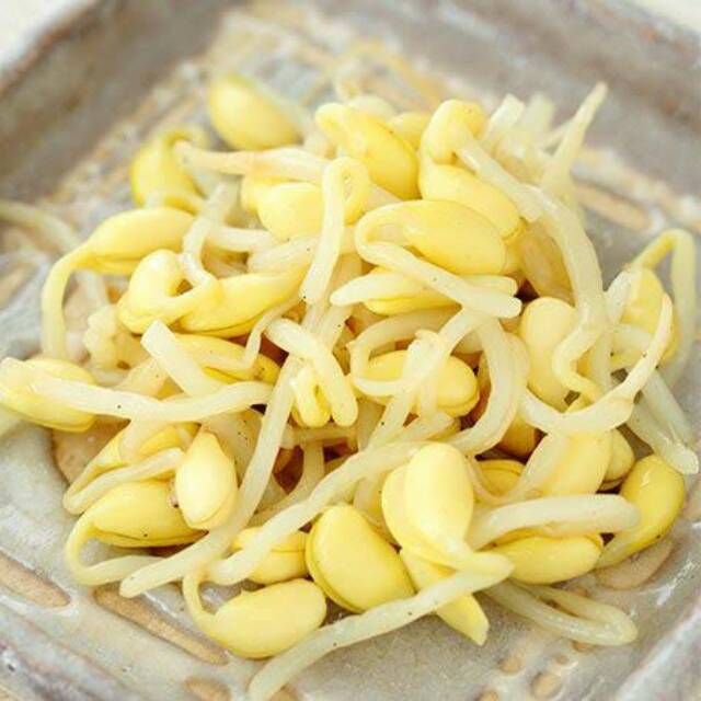 

Taugeh kedelai/kecambah dele (per pack)