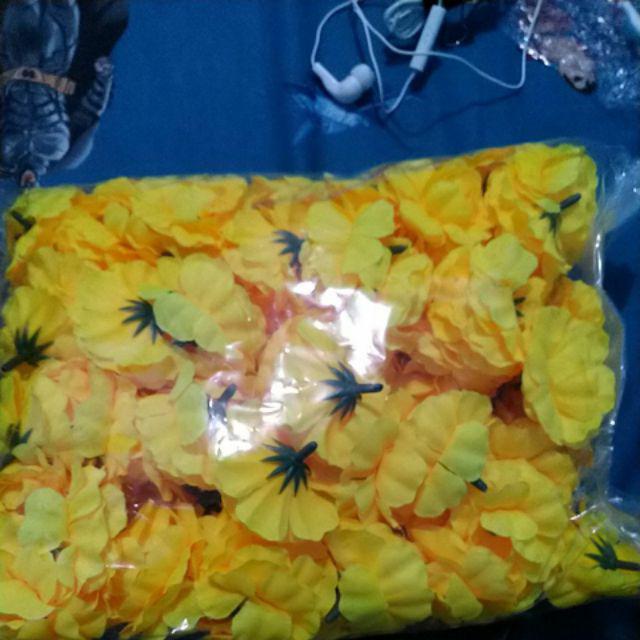 Wanflower Bunga Juntai Wisteria 2m * Champagne Muda
