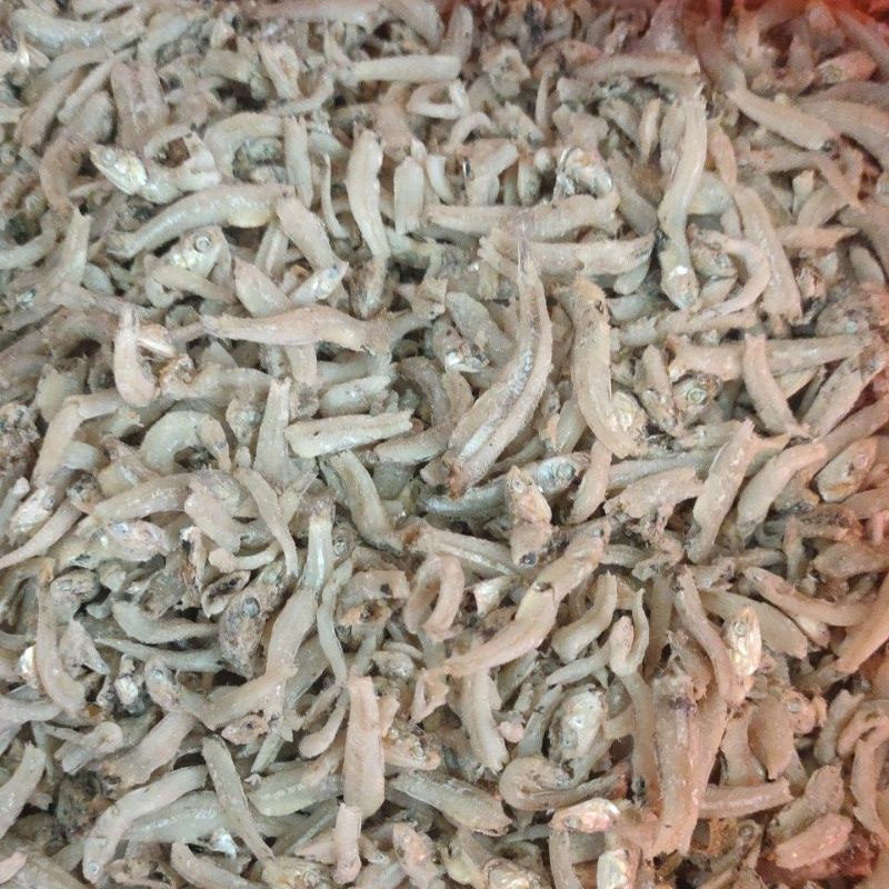 

ikan asin Teri Lampung 100gram