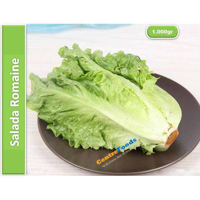 

Salada Romaine | Romen Lettuce [ Harga Per KG ]