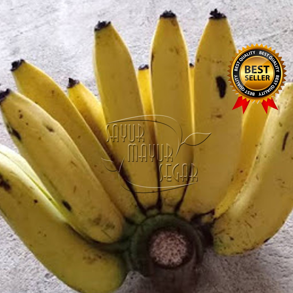 Jual Sayurmayursegar Pisang Ambion Segar Pisang Ambon Sisir Online