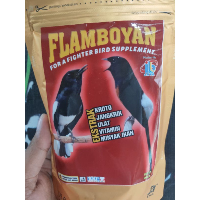 80+ Gambar Burung Flamboyan Gratis Terbaru