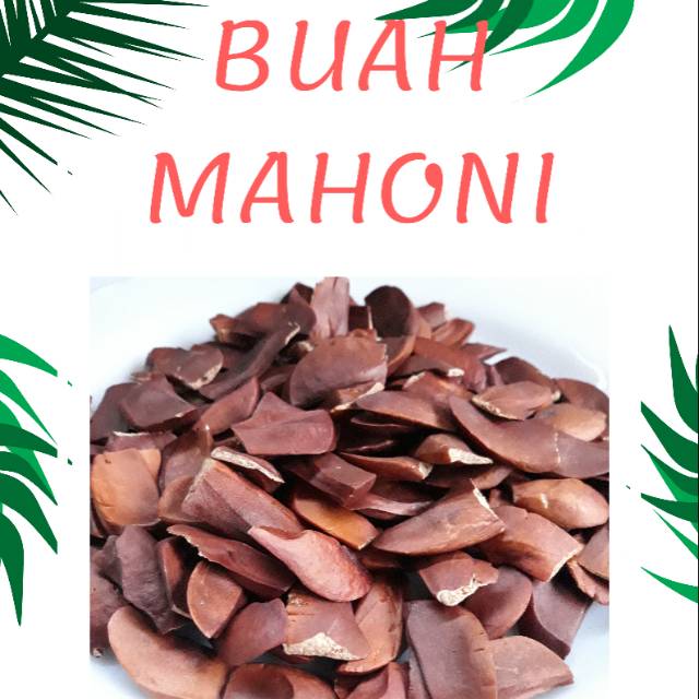

Buah mahoni