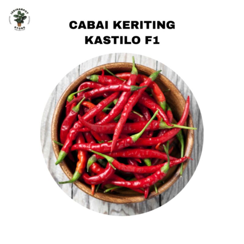 benih bibit cabe keriting kastilo cap panah merah - CABAI KASTILO F1