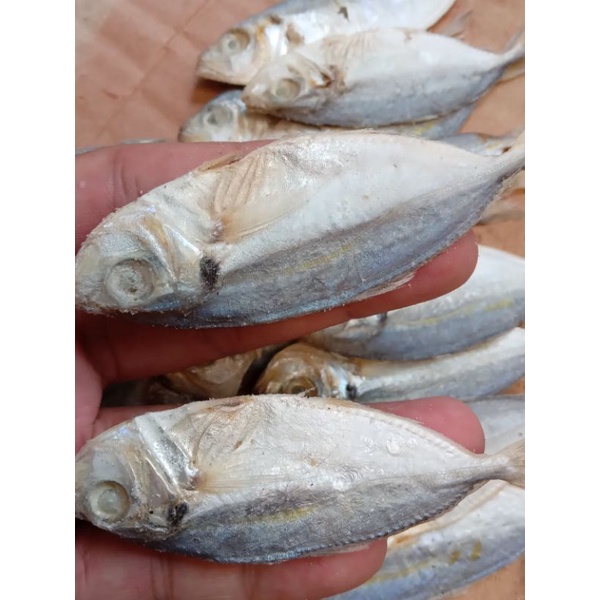 

Ikan Asin Selar Murah 1kg