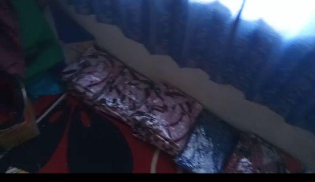 Risna Batik Hrb026 Kenongo Hem Pendek Padi Pekalongan M L Xl Batik Pria Murah Modern