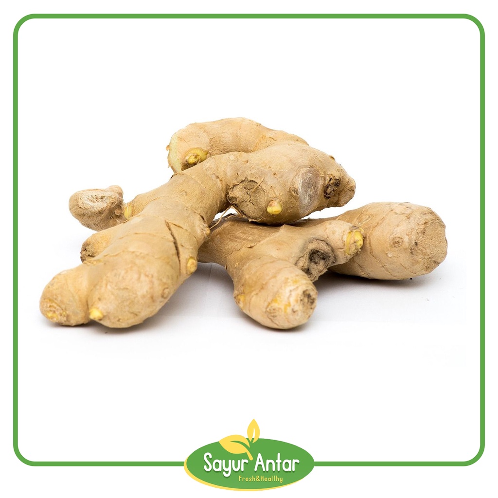 

Jahe 100 gr | Sayur.Antar | Free Ongkir Bandung Cimahi