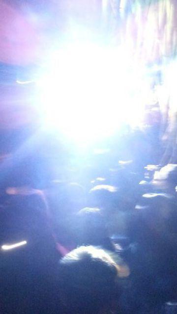 Wanflower Daun Mangga X5 * Hijau Lis Kuning (perlusin)