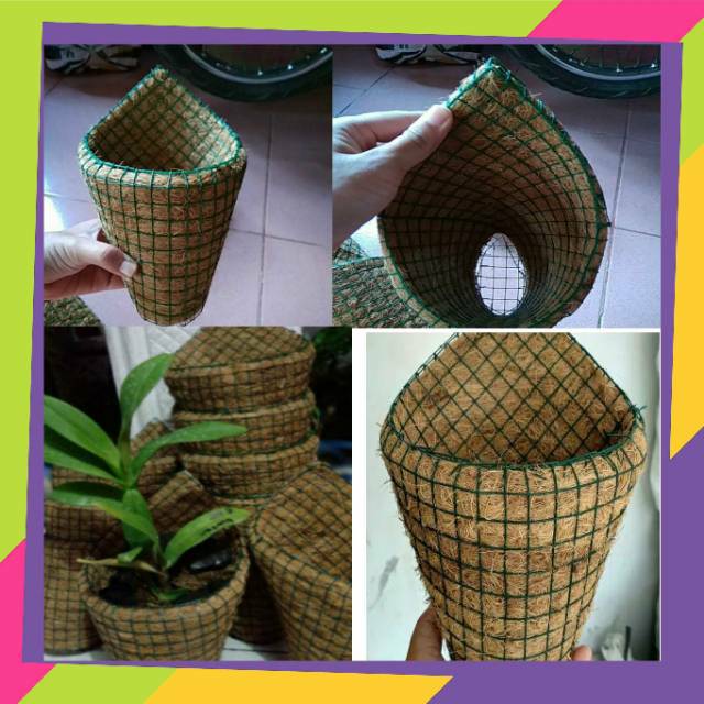  POT  TEMPEL  DINDING  SABUT KELAPA Shopee Indonesia