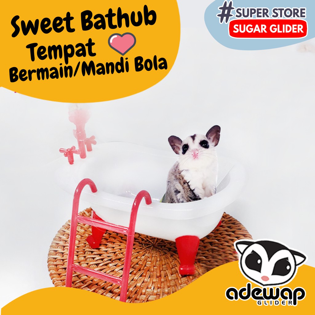 ADEWAP GLIDER Sweet Bathtub Tempat Mandi Hamster Sugar Glider