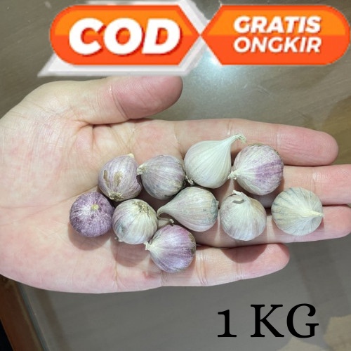 Bawang Putih Tunggal Lanang Jamin Bagus dan Fresh