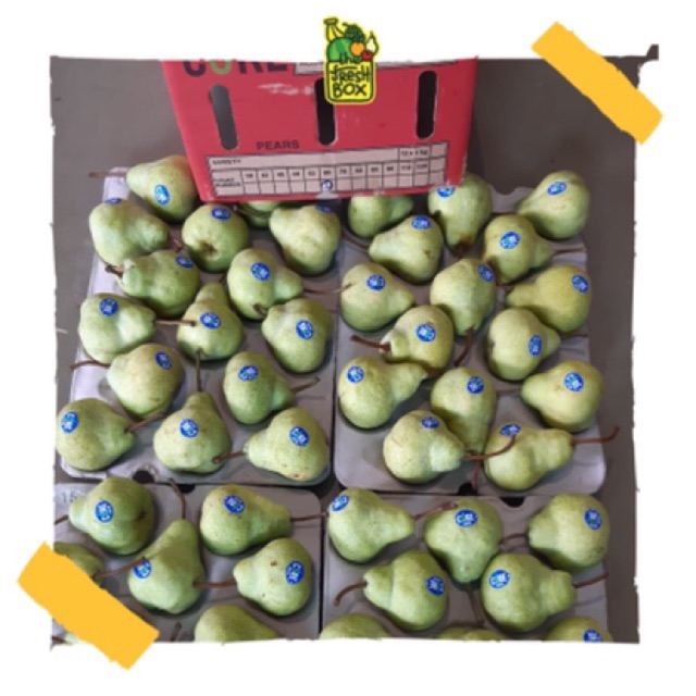 

SUPPLIER BUAH IMPORT | Buah Packham Pear isi 52/70pcs