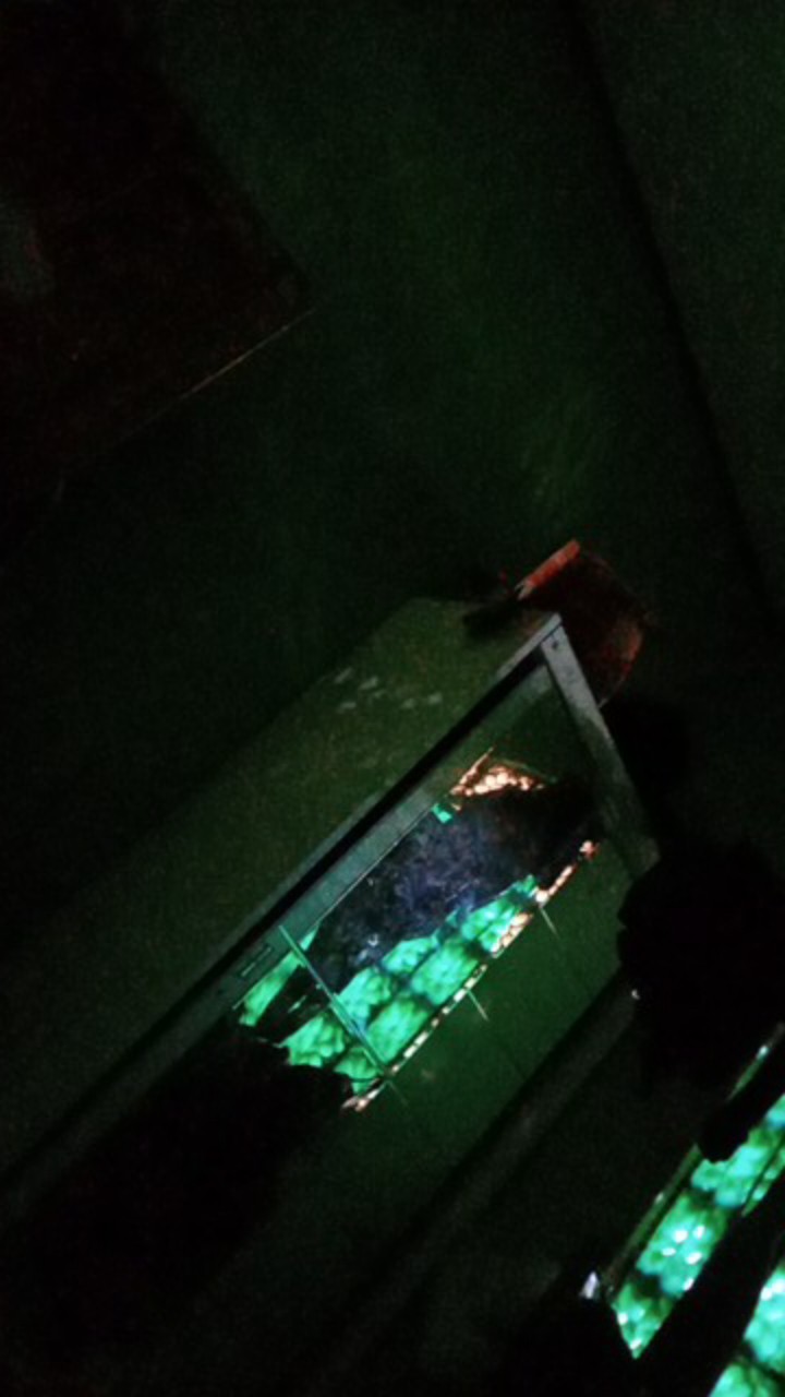 Gamis Jumbo Bordir Mewah Premium ( Real Pick ) Gamis Bordir Batik Cantik / Gamis Corak Kembang Xxl