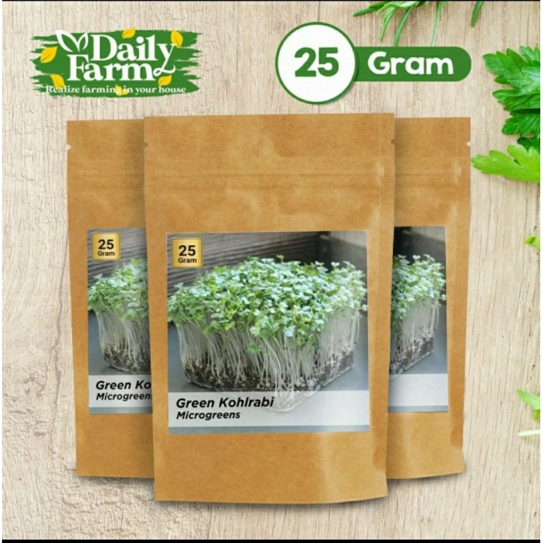 Benih Sayur Microgreen Green Kohlrabi Microgreen ( 25 Gram )