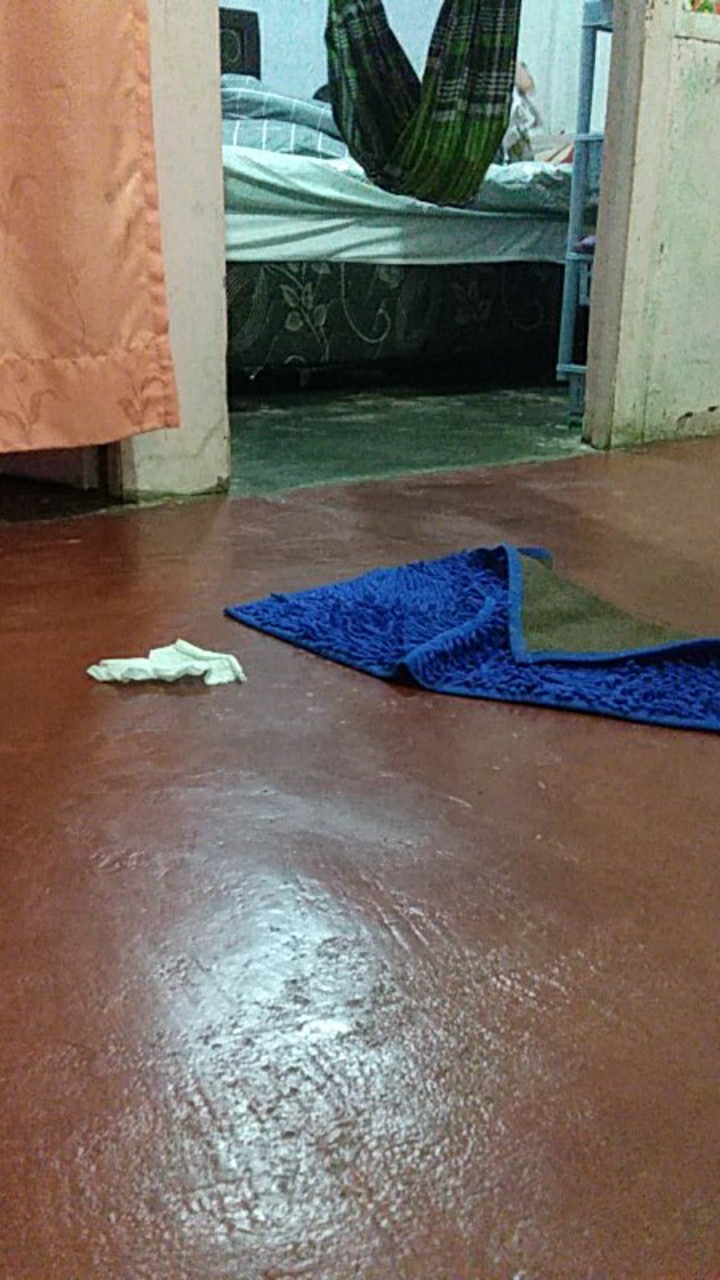 Ls Sprei Kintakun D Luxe 180x200 Cm King Size Motif Cactus