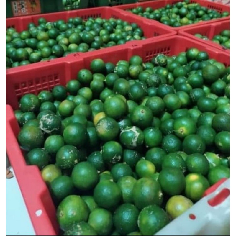 

jeruk kesturi / jeruk sonkit 250 gr