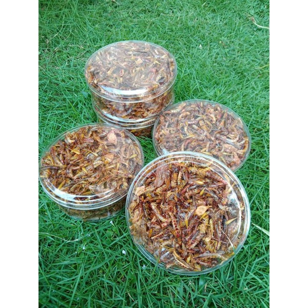 

BELALANG UTIS GORENG RENYAH GURIH ENAK CEMILAN JADUL RASA MANTUL HAHAL