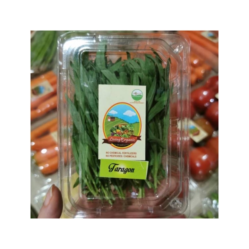 

Taragon Fresh Organik || 50 gr || Sayuran Organik