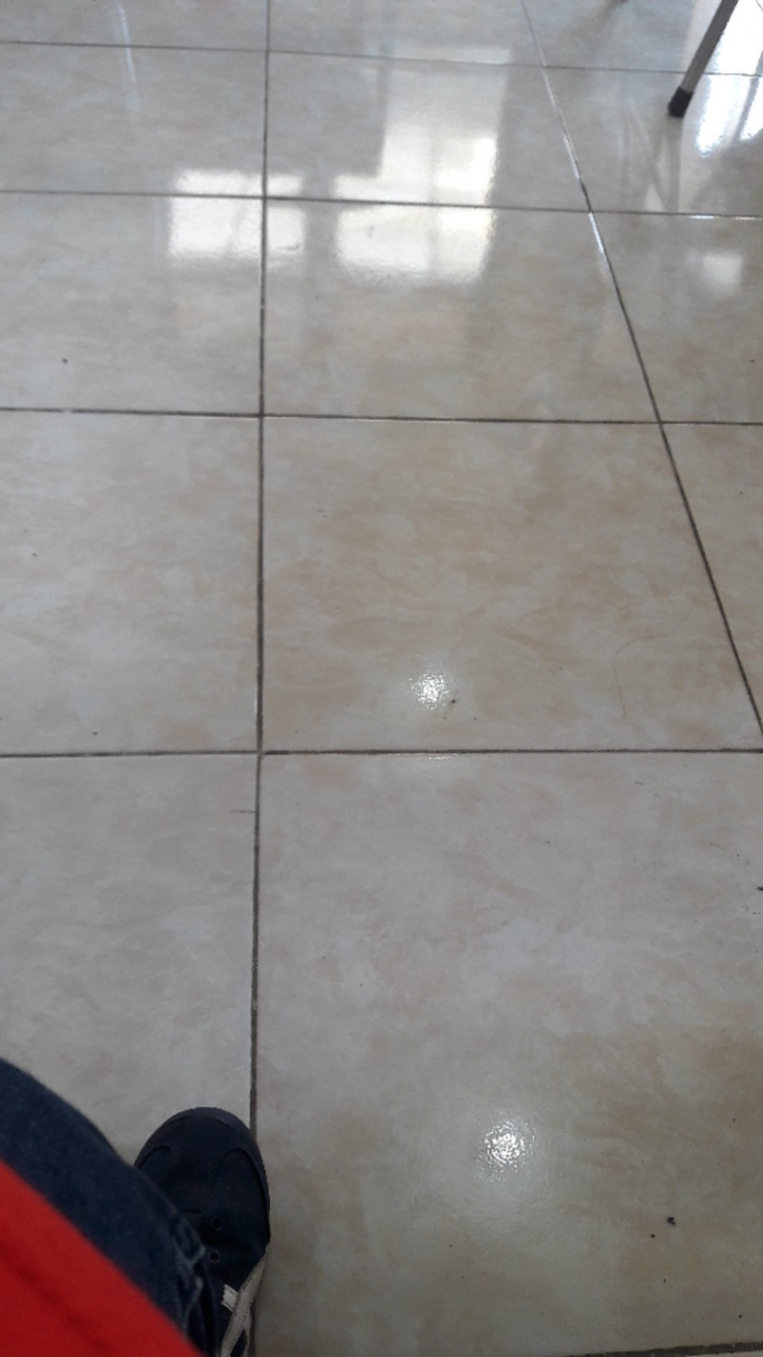 Swallow Daisap Serap Air / Serap Lembab - 450 Ml