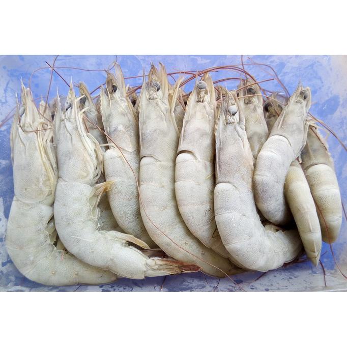 

MAKANAN BEKU / UDANG VANAME UTUH BEKU FROZEN SHRIMP SEAFOOD RJ FISH 500GRAM NON COD