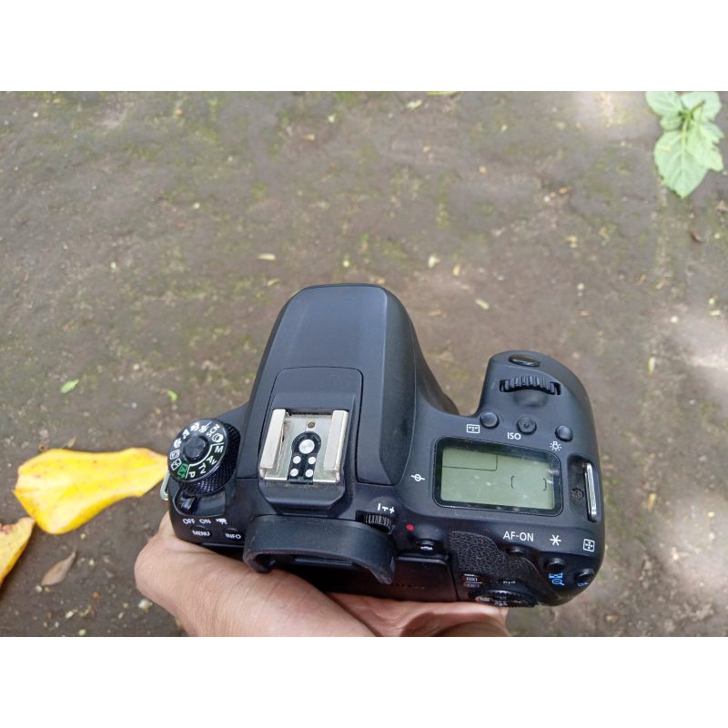 canon 77D Body Only