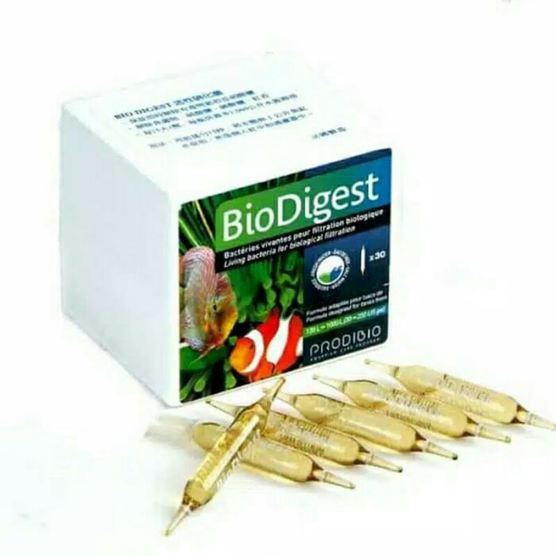 PRODIBIO BIODIGEST 1 VIALS / AMPUL