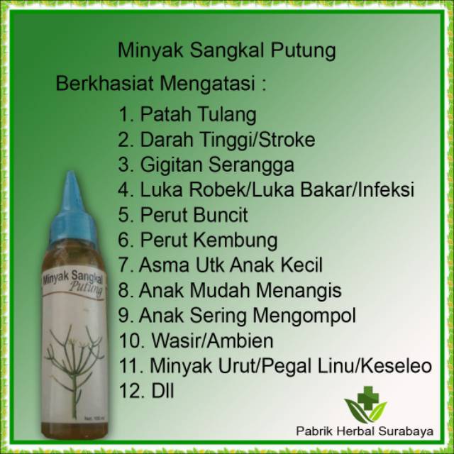 Minyak Gosok Sangkal Putung Minyak Tulang Minyak Herbal Tulang Patah Minyak Urut Rematik 100ml Shopee Indonesia