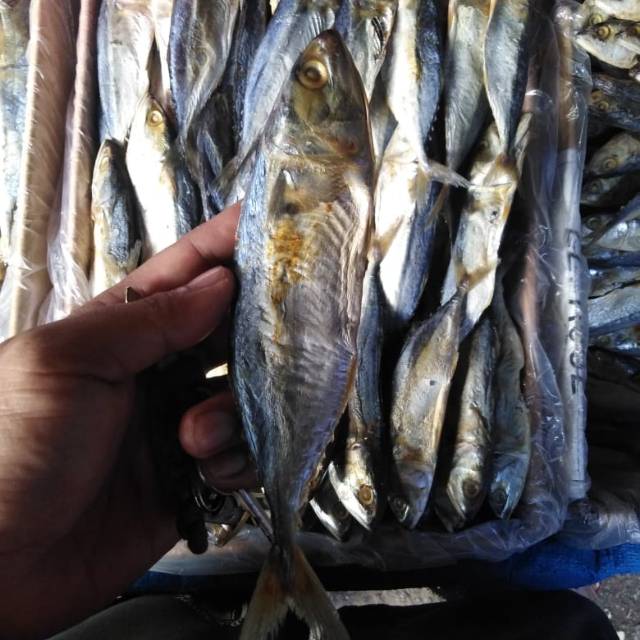 

ikan asin ikan gembung peda netto 500gram