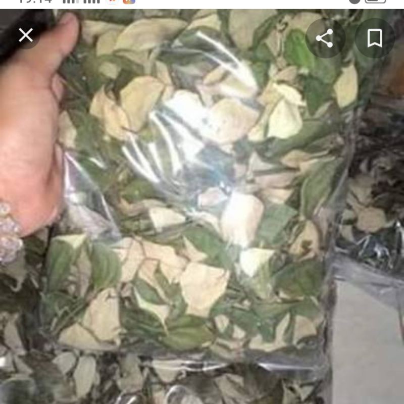 

DAUN BIDARA ARAB, DAUN BIDARA ARAB KERING 300gram