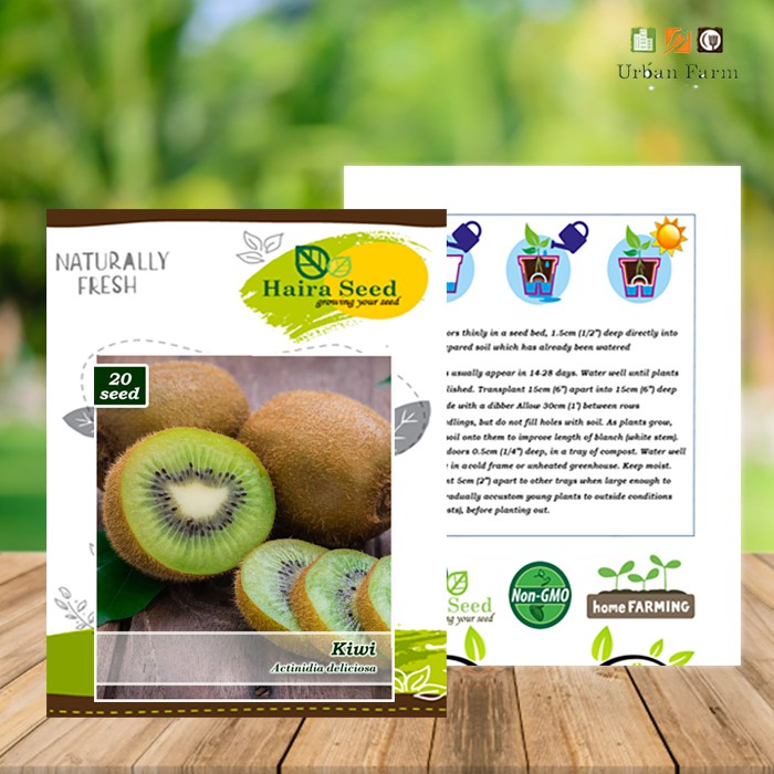 Benih-Bibit Buah Kiwi (Haira Seed)