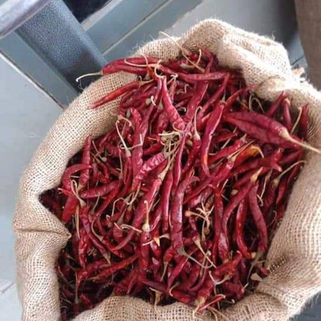 

cabe rawit kering Teja super kering 1kg