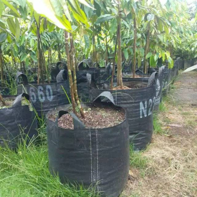 RPM Planter Bag/Planterbag 100 liter 50x50