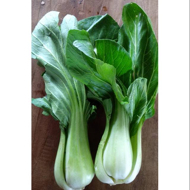 

pakcoy coi segar 500 gr/1kg "SEKAR LABU