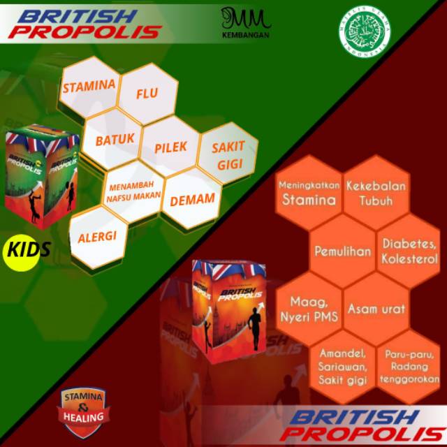 British propolis (BP)