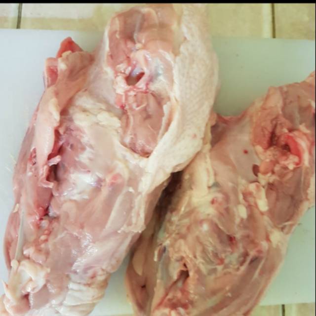 

Tulang ayam