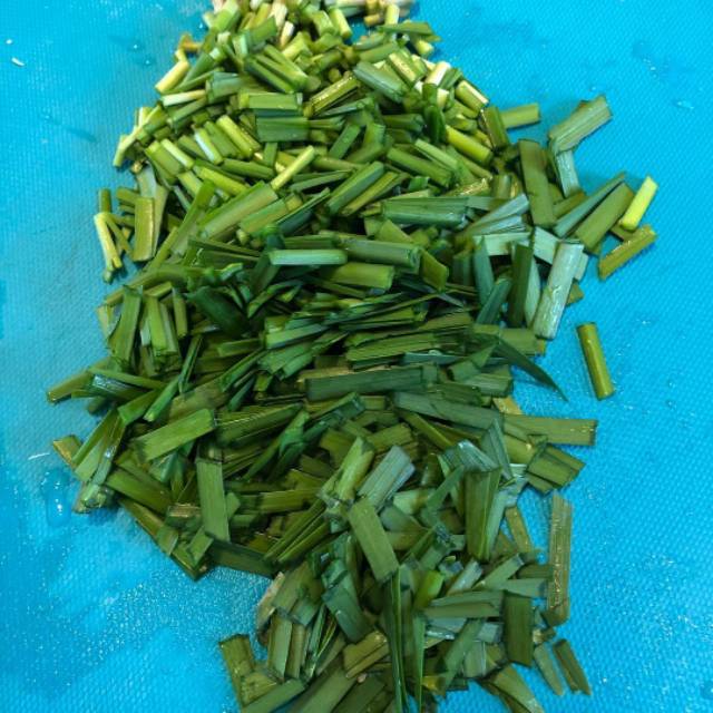 25 Biji - Benih Bawang Kucai STARO Enza Zaden-4