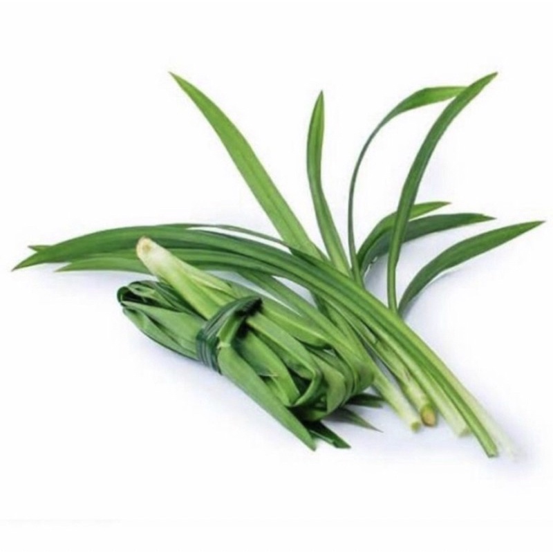 

Daun pandan wangi Fresh herbal & bahan masakan 150grm