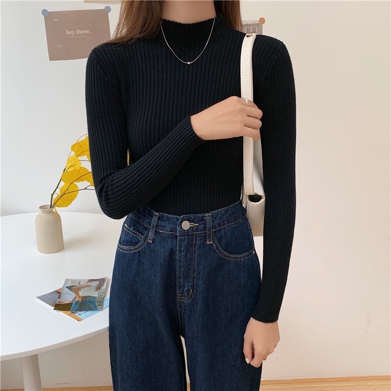 CLOTHIER - Kim Ribbed Turtleneck | Rib Knit Inner Top