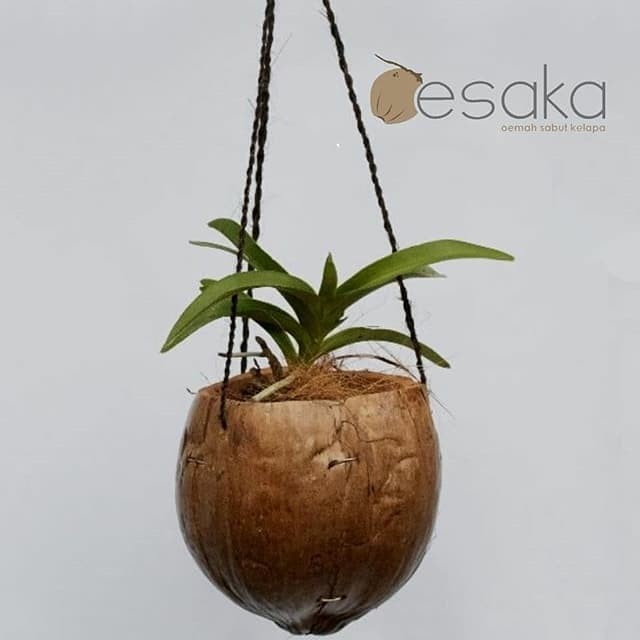 OESAKA - Pot Gantung Kulit Kelapa Tali Ijuk Sabut Kelapa Pendek
