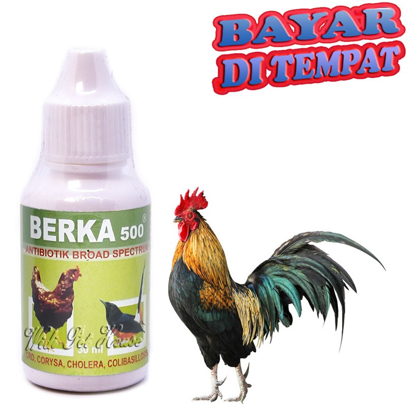 Obat Ayam Jago Bebek Burung BERKA 500 Obat Sakit Demam Diare Flu Penghilang Virus
