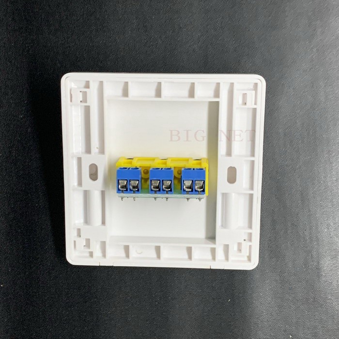 Face Plate AV (RCA) Wall Plate