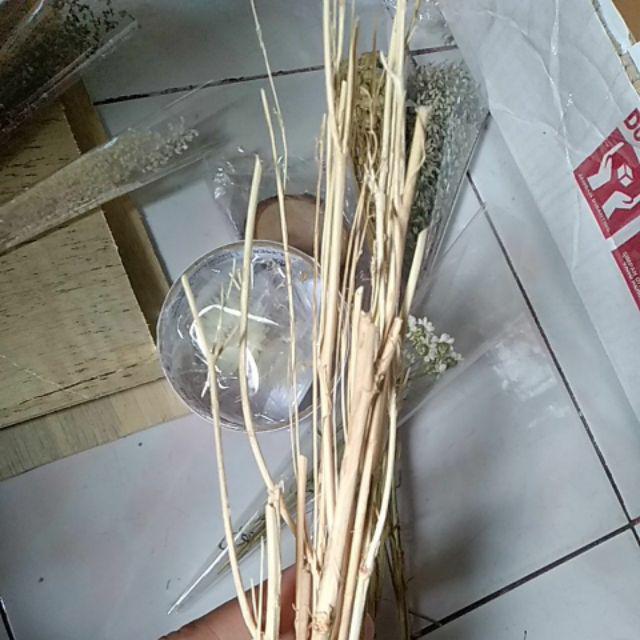 Ranting Putih Kecil Hiasan Mahar