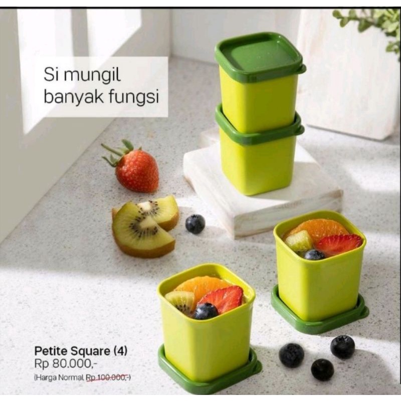 Petite Square tupperware 4 pcs